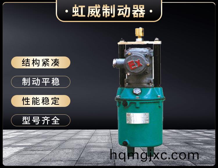 BYT係列隔爆型電力液壓推動(dong)器